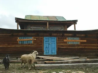 sheep-at-the-door_2287542447_o.jpg