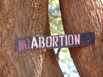 no-abortion_172573261_o.jpg