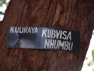 kuuraya-kubvisa-nhumbu_172580375_o.jpg
