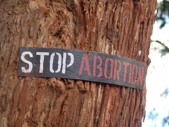 stop-abortion_172579056_o.jpg