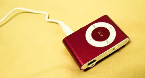 fake-ipod-shuffle_2151658816_o.jpg