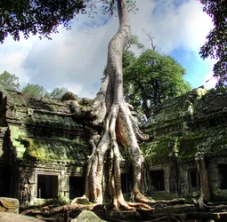 ta-prohm-the-tomb-raider-temple_2971911258_o.jpg
