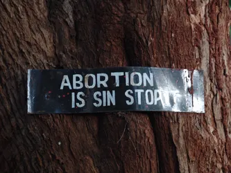 abortion-is-sin-stop_172581299_o.jpg