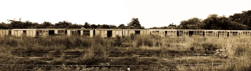 a-dead-train_1778277692_o.jpg