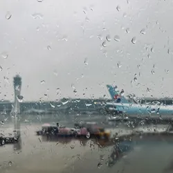 its-rainy-in-korea_53348640234_o.jpg