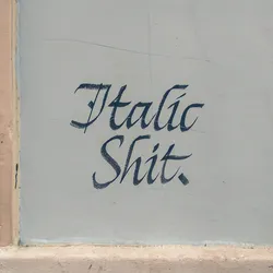 italic-shit_35400678513_o.jpg