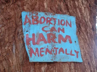 abortion-can-harm-mentally_172567165_o.jpg