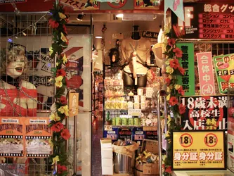sex-shop_2820508385_o.jpg