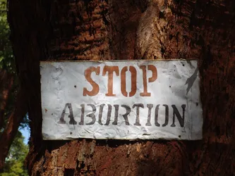 stop-abortion_172574431_o.jpg