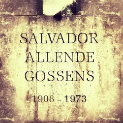 allende_14369347786_o.jpg