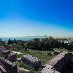 the-view-from-carthage_40605999915_o.jpg