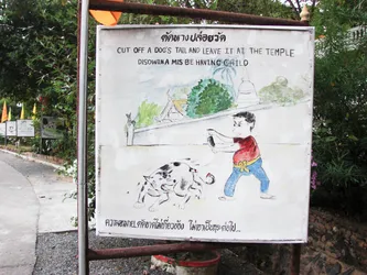 cut-off-a-dogs-tail-and-leavce-it-at-the-temple_2111897787_o.jpg