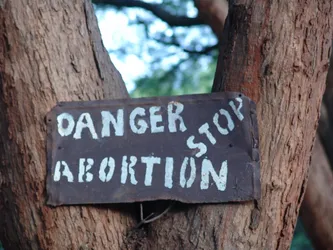 danger-stop-abortion_172580866_o.jpg