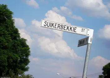 suikerbekkie_364414008_o.jpg