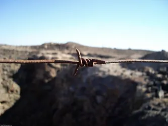 barbed-wire_254039861_o.jpg
