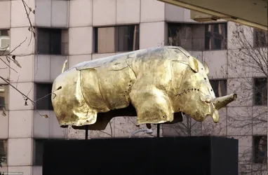 the-golden-rhino_893368718_o.jpg
