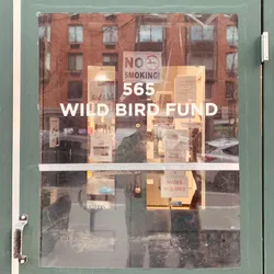 wild-bird-fund_51948663407_o.jpg