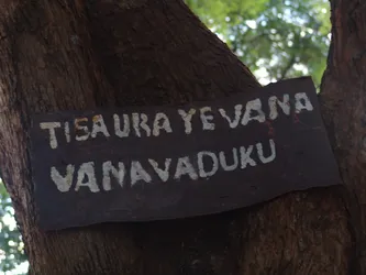 tisaura-yevana-vanavaduku_172581425_o.jpg