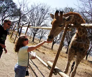 the-hand-that-feeds-the-giraffe_1073835667_o.jpg