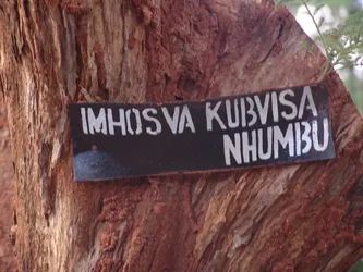 imhosva-kubvisa-nhumbu_172580124_o.jpg
