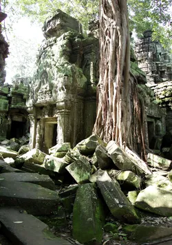 ta-prohm_2974336649_o.jpg