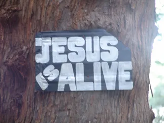 jesus-is-alive_172578467_o.jpg