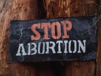 stop-abortion_172578282_o.jpg