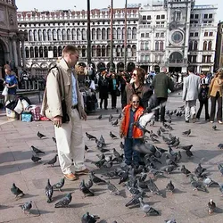 feeding-the-pigeons_228186488_o.jpg