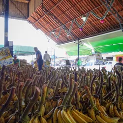 bananas-for-sale_24380831126_o.jpg