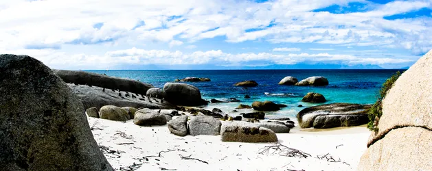 boulders-beach-close-to-cape-town_1266757991_o.jpg