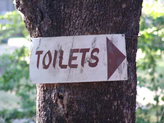 toilets_172569585_o.jpg
