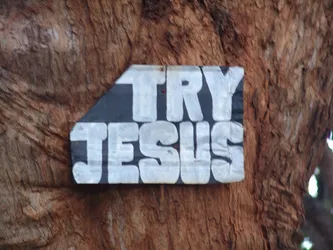 try-jesus_172578207_o.jpg