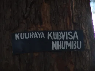 kuuraya-kubvisa-nhumbu_172581663_o.jpg