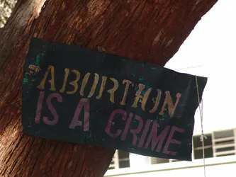abortion-is-a-crime_172574147_o.jpg