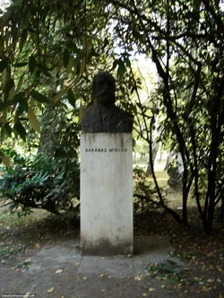 barabas-miklos_341349561_o.jpg