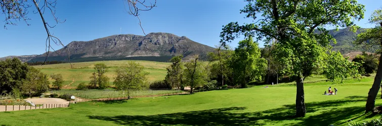 picknicking-at-groot-constantia_1266489273_o.jpg