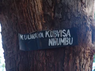 kuuraya-kubvisa-nhumbu_172580947_o.jpg