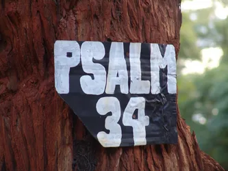 psalm-34_172579133_o.jpg
