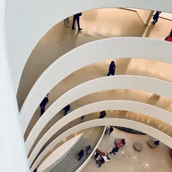 inside-the-guggenheim_51950244655_o.jpg