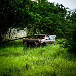 dead-car_16838042705_o.jpg