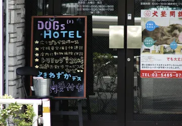 dogs-hotel_2841766561_o.jpg