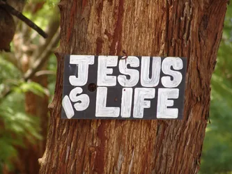 jesus-is-life_172572196_o.jpg