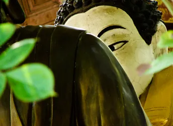 hiding-behind-the-buddha_1813033809_o.jpg