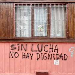 no-dignity-without-struggle_52625036765_o.jpg