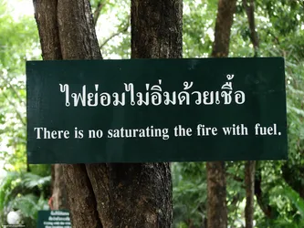 there-is-no-saturating-the-fire-with-fuel_538822824_o.jpg