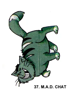 37-mad-chat_4813277057_o.png