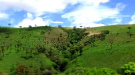 moar-tilt-shifting-fun_4444752219_o.png