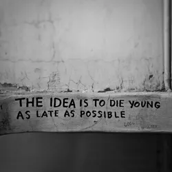 the-idea-is-to-die-young-as-late-as-possible_41104264350_o.jpg