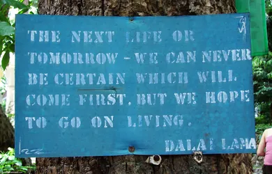 the-next-life-or-tomorrow---we-can-never-be-certain-which-will-come-first-but-we-hope-to-go-on-living_623004985_o.jpg