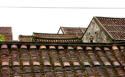 roofs_3965608564_o.jpg